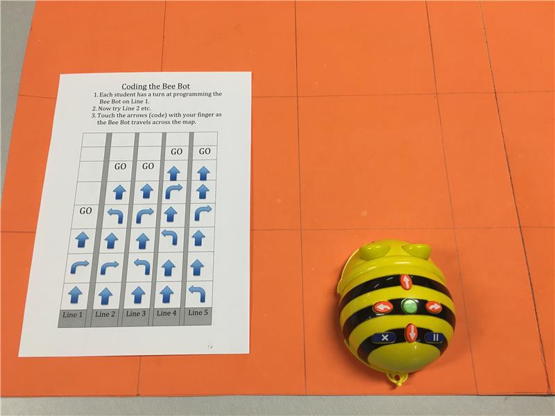 Coding the Bee-Bot
